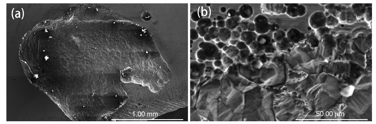 Crevice Corrosion Behaviors Between CFRP and Stainless Steel 316L for