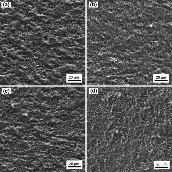 Corrosion Behaviors of Pure Titanium and Its Weldment in Simulated