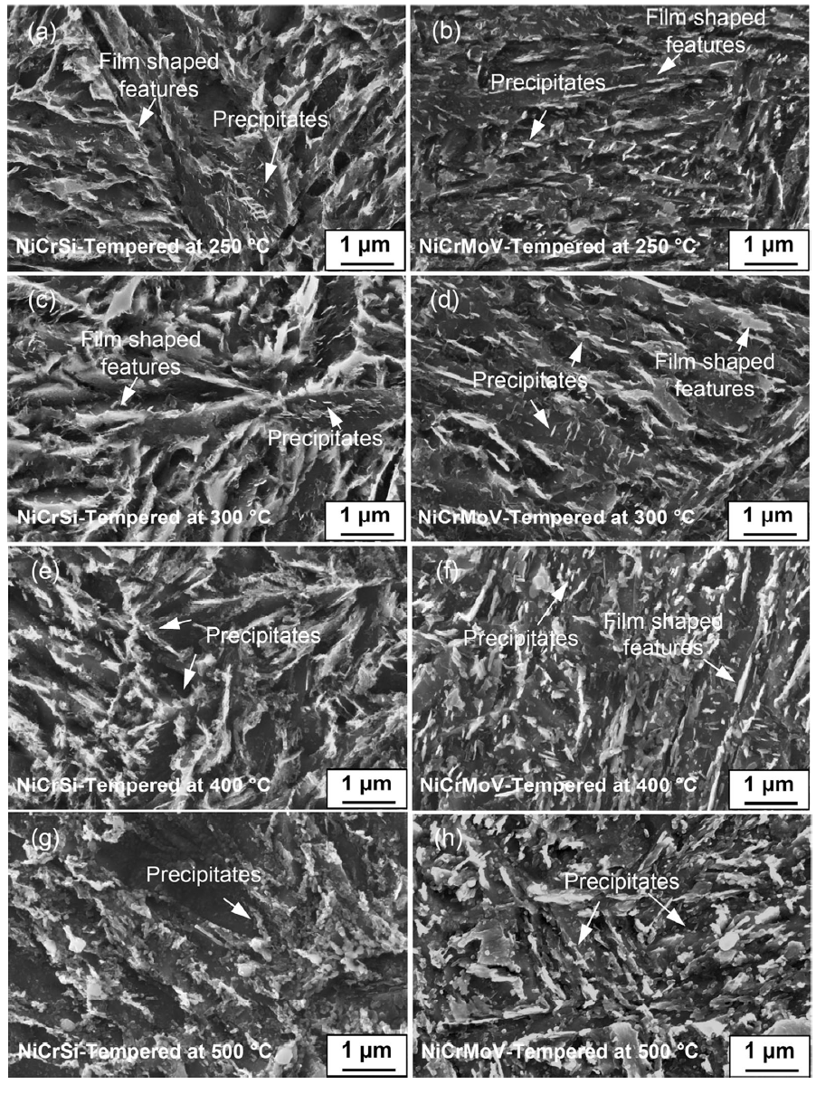 Microstructural Characteristics and Mechanical Properties of LowAlloy
