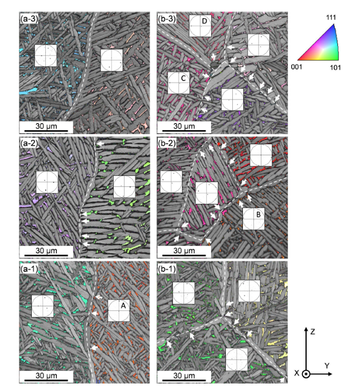 Fine equiaxed β grains and superior tensile property in Ti