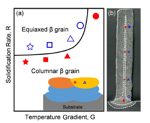 Fine equiaxed β grains and superior tensile property in Ti